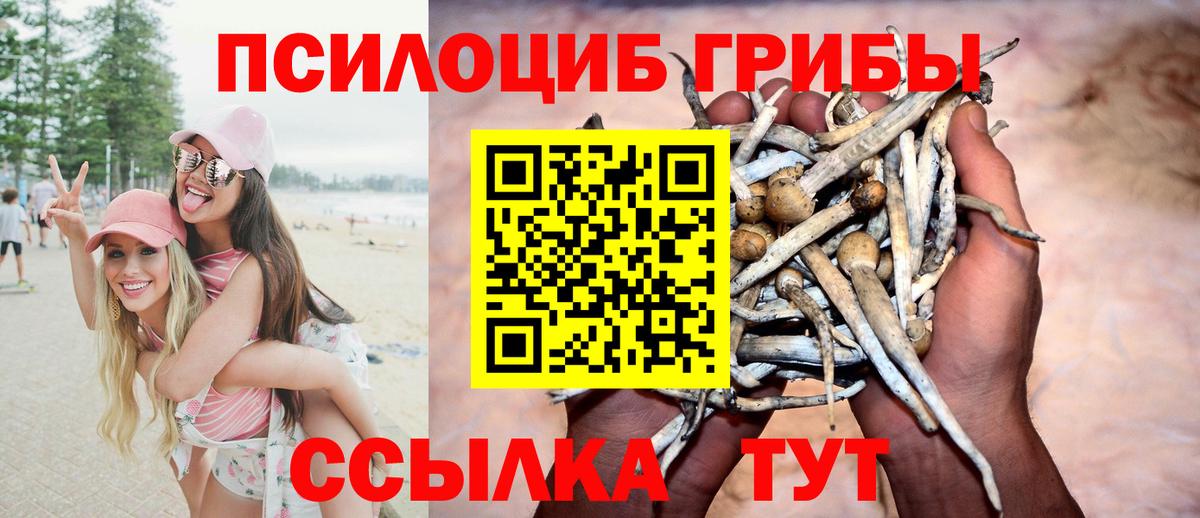 Туймазы  Галлюциногенные грибы прущие грибы  Вход с VPN 