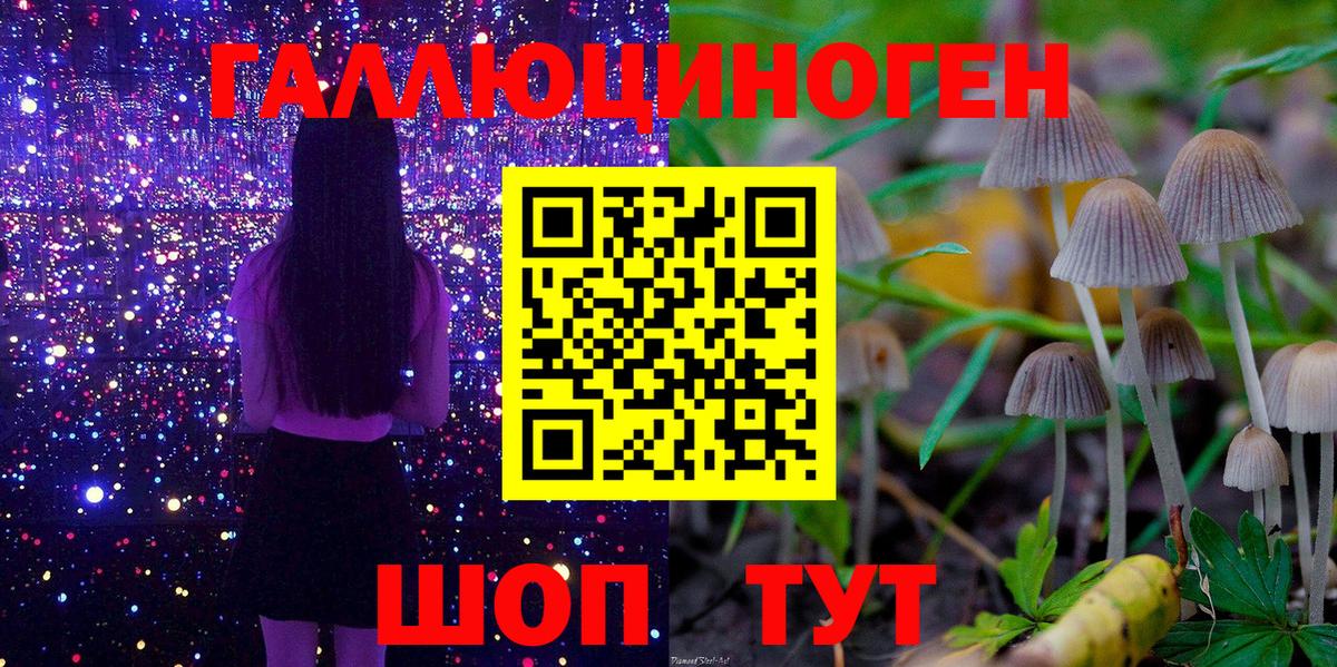 Псилоцибиновые грибы Magic Shrooms Туймазы