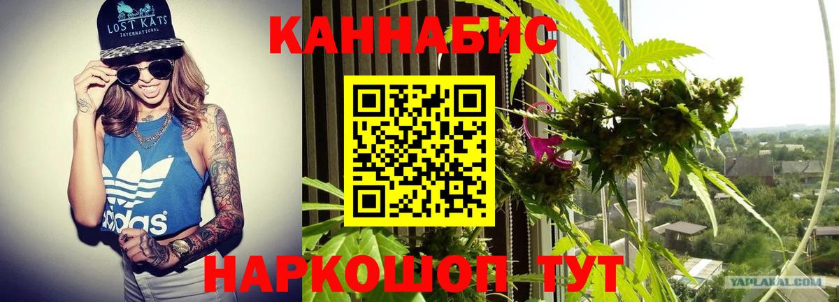 Бошки марихуана VHQ  Вход с VPN  Туймазы  Бошки Шишки Bruce Banner  Бошки марихуана OG Kush 